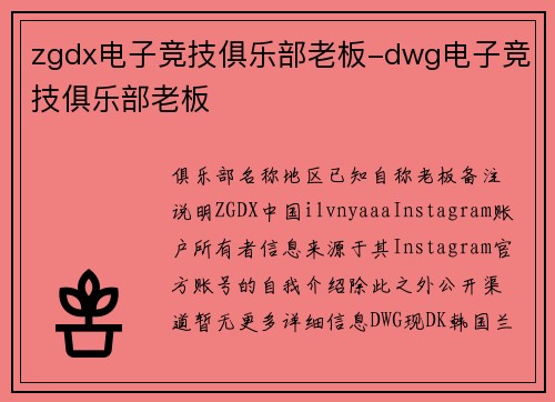 zgdx电子竞技俱乐部老板-dwg电子竞技俱乐部老板